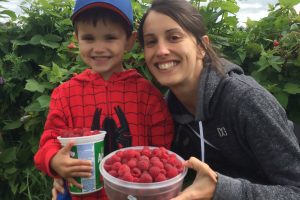 Autocueillette des framboises - La Ferme Genest
